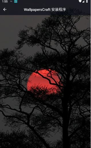 TheGhost截图5